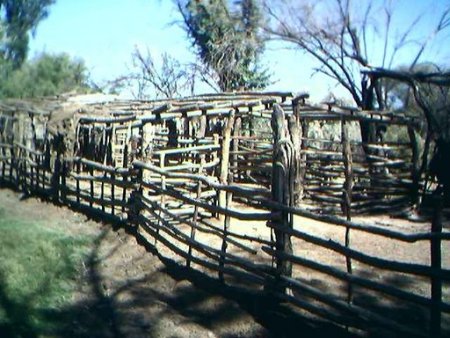 corral